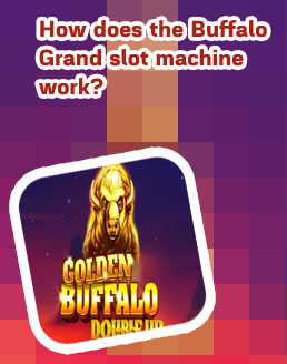Free golden buffalo slots
